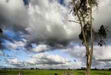 开云体育平台APP-捷法对决巅峰之战！当暗影劫遇上疾风剑豪，谁将主宰峡谷之巅？