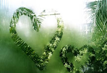 开云APP-绿茵场惊雷！国足补时绝杀掀翻蓝衣军团世界杯死亡之组瞬间洗牌