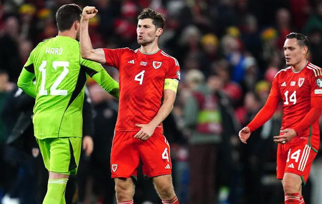 关于威尔士队在欧锦赛预选赛中以-击败亚美尼亚的信息