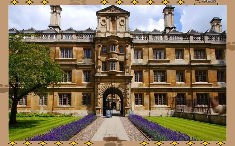 捷克国家队队员发挥失常,悲遭淘汰命运的简单介绍 捷克国家队队员发挥失常,悲遭淘汰命运的简单介绍