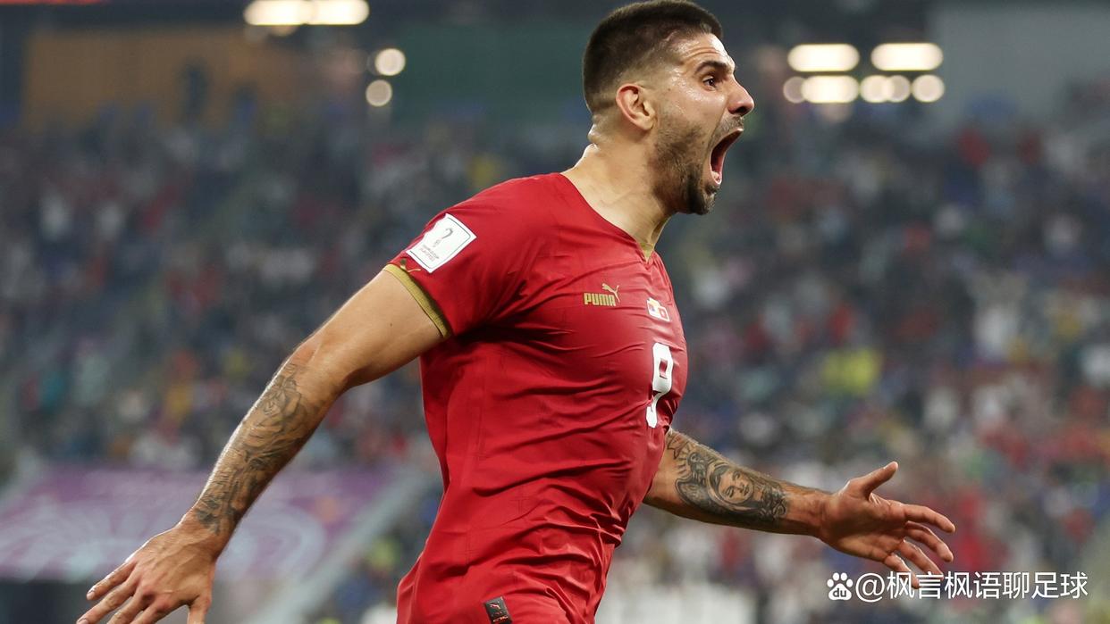 开云官方app入口-塞尔维亚客场3:2战胜卢森堡，保持不败