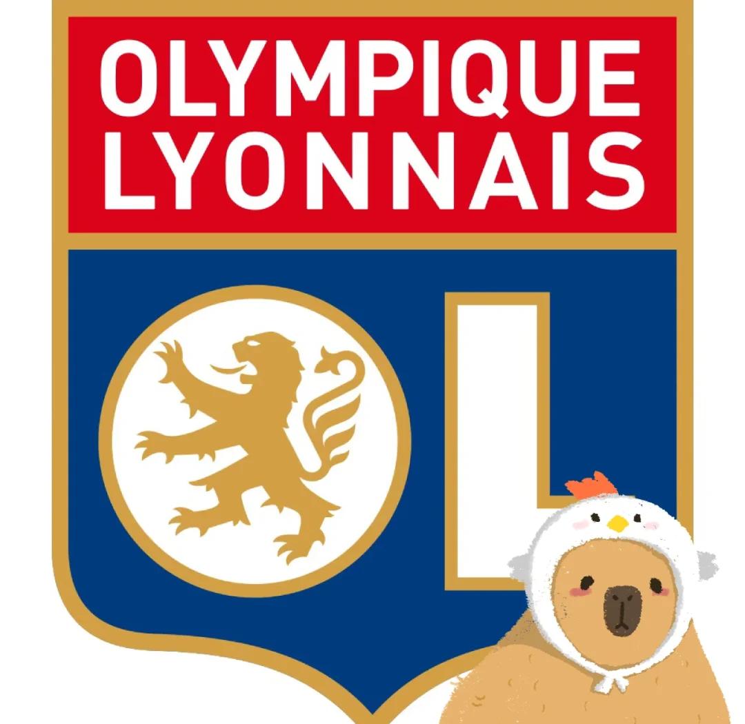 里尔球员表现出色,有望成为法甲新赛季黑马 里尔球员表现出色,有望成为法甲新赛季黑马