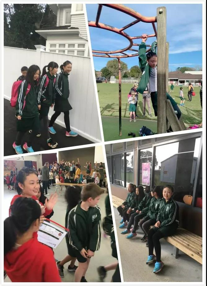 开云官方app入口-关于新西兰球员勤奋训练引来各地球队关注的信息